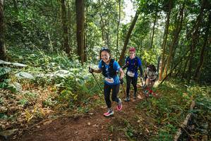 BIB: 
                            <button type="button" onclick="openModal(22462388)" class="btn btn-primary btn-sm float-right btn-popup" data-toggle="modal" data-target=".modal-high-quality">
                        <i class="fas fa-shopping-cart"></i> Add to Cart
                    </button>
                                            <button type="button" onclick="isThisMe(22462388, true)" class="btn btn-success btn-sm float-right btn-popup btn-isme hidden" data-toggle="tooltip" data-placement="bottom" title="นี่คือรูปของคุณใช่ไหม คลิกที่นี่เพื่อเอาเข้าอัลบั้ม">
                        <i class="fas fa-plus"></i> Add to album
                    </button>
                    <button type="button" onclick="isThisMe(22462388, false)" class="btn btn-warning btn-sm float-right btn-popup btn-isnotme hidden">
                        <i class="fas fa-ban"></i> Remove from album
                    </button>